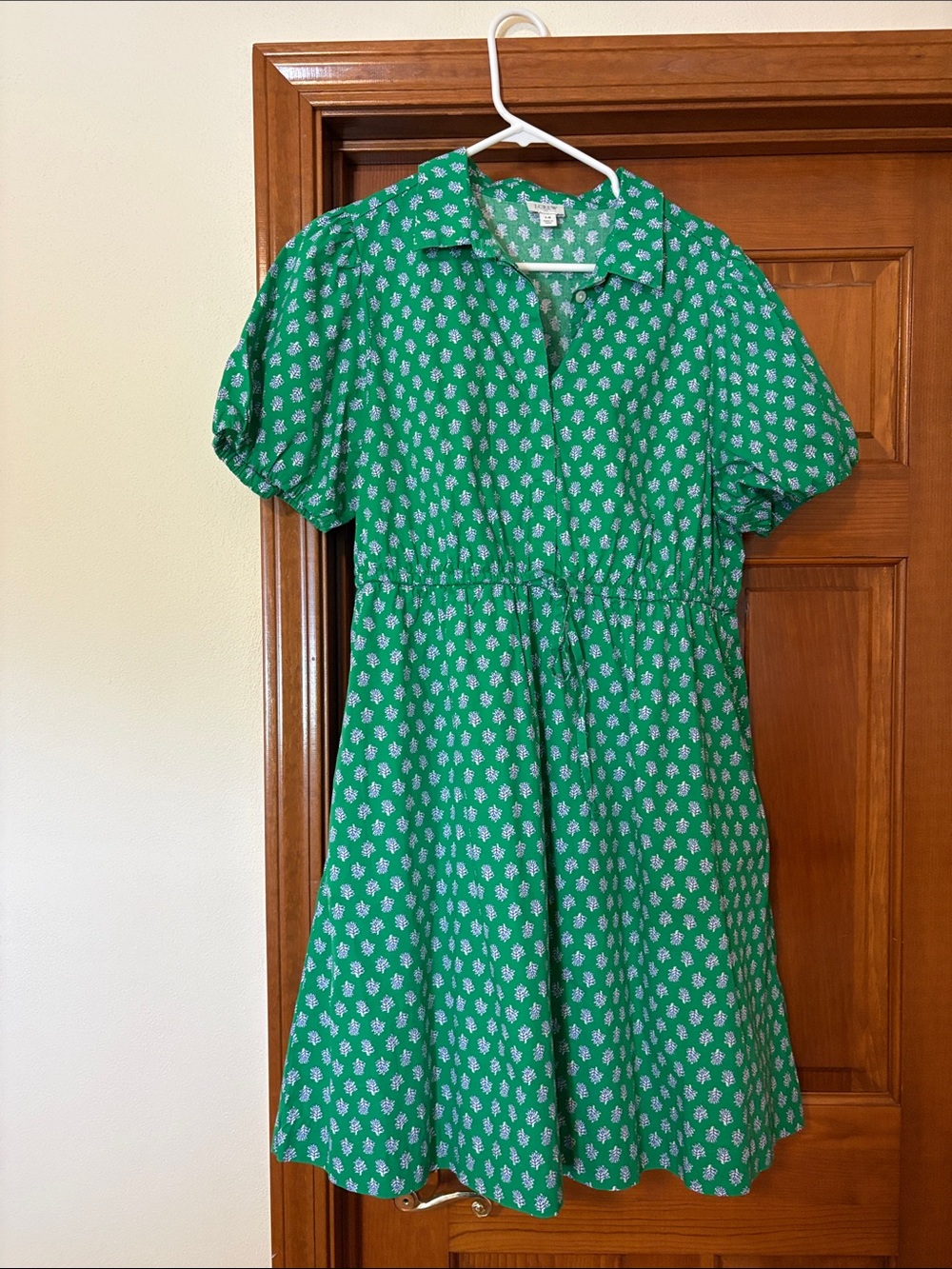 J Crew Women’s Green Floral Fit-and-Flare Dress